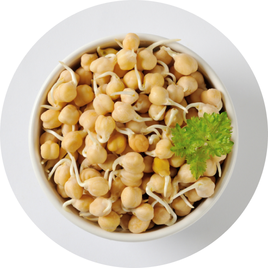 Sprouted snacks