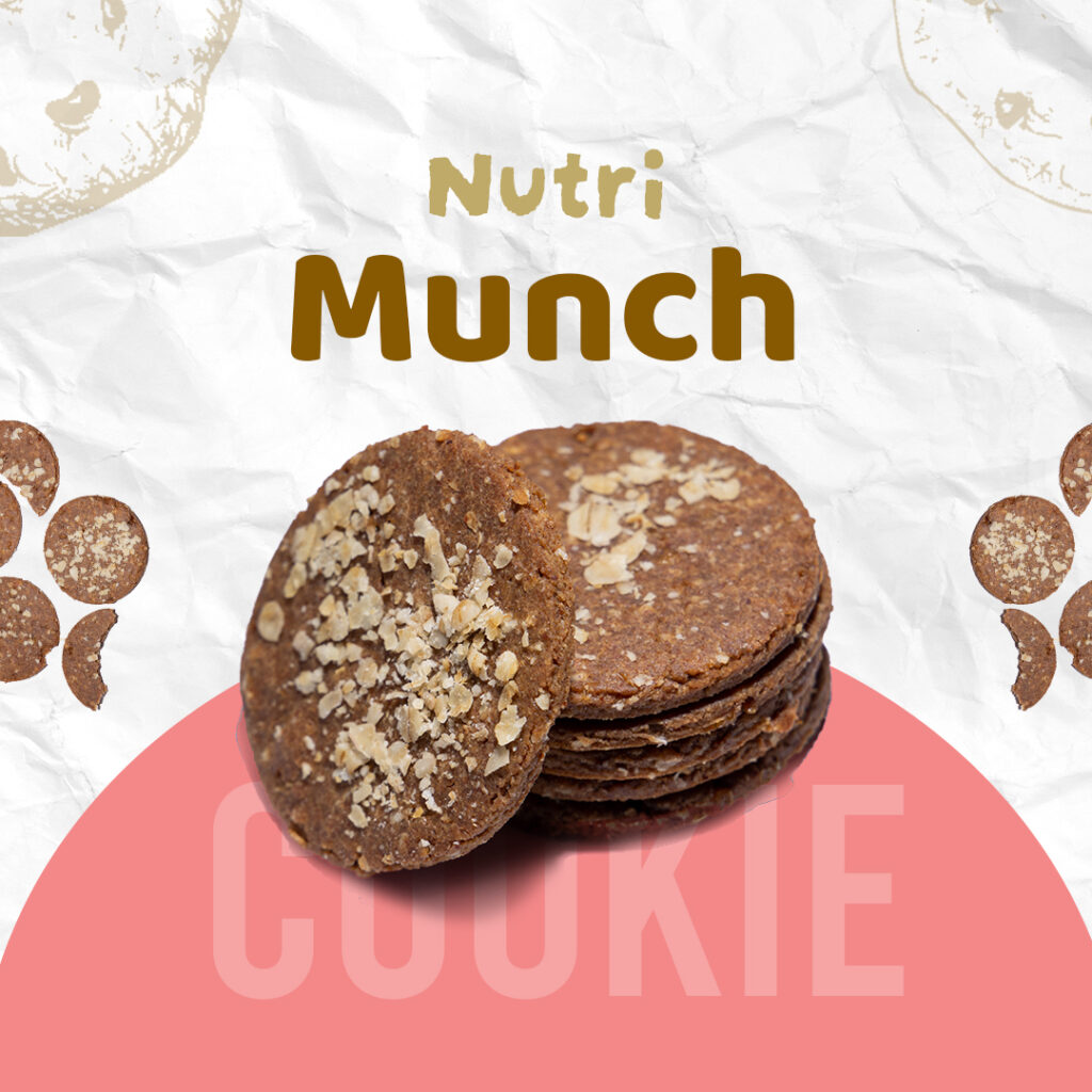 Nutri-Munch - Oatmeal & Raisin Cookie