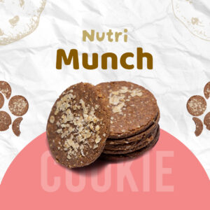 Nutri-Munch – Oatmeal & Raisin Cookie 